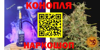 стафф Краснодар