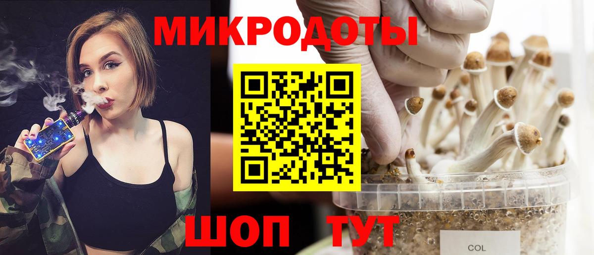 как найти   Вход с VPN  Ирбит  Галлюциногенные грибы Cubensis 